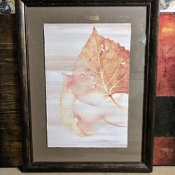 Leaf Imprint Picture