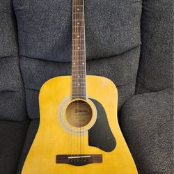 Silvertone Pro Series Acoustic Guitar