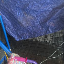 Dog Cage
