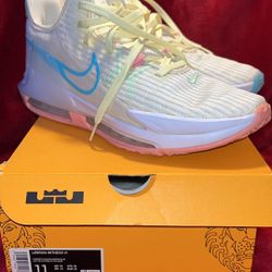 LEBRON WITNESS VI