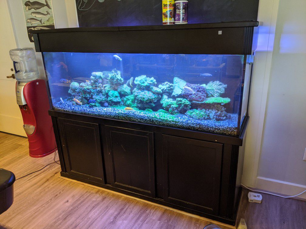 135 gallon glass aquarium