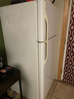 Fridge raider