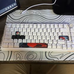 white gaming keyboard 75% (pink switches)
