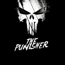 The Punisher  (TV Series) 