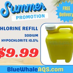 Pool Store With FREE DELIVERY!!!