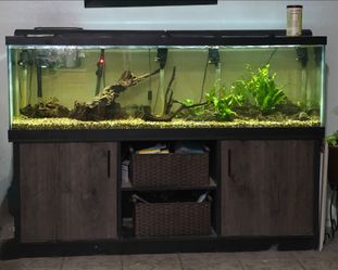 125 Gal Aquarium Complete W/ Stand