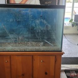 110 Gallon Fish Tank