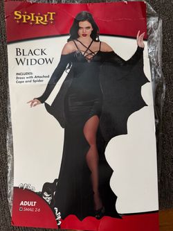 Black Widow Costume