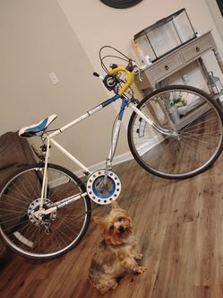 Rare bike: 1970's Vintage AMF Decathlon Limited Edition Road Bike - 10-Speed Retro Cruiser