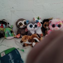 Beanie Boo's! by TY!