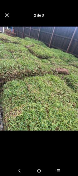 Grass Sod For Sale