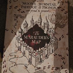 Harry Potter Mini Canvas And Mirror 