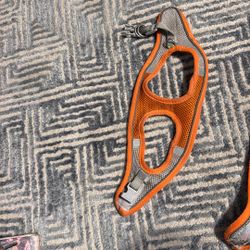 Small Dog Harness 