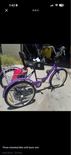 Adult Tricycle
