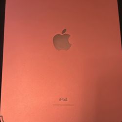 iPad 10th Generation (Pink)