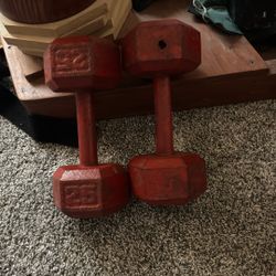 2- 25lb Dumbbells 