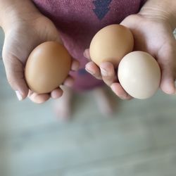 Fresh Eggs