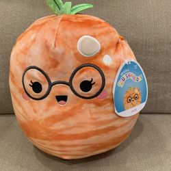 Squishmallow Plushie 8”