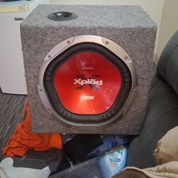 12 Inch 1200 Watt Sony Explode