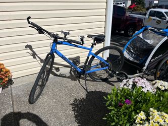Large  bike