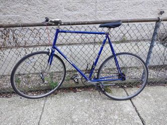 Extra large frame Takara single speed road bike w flatbar