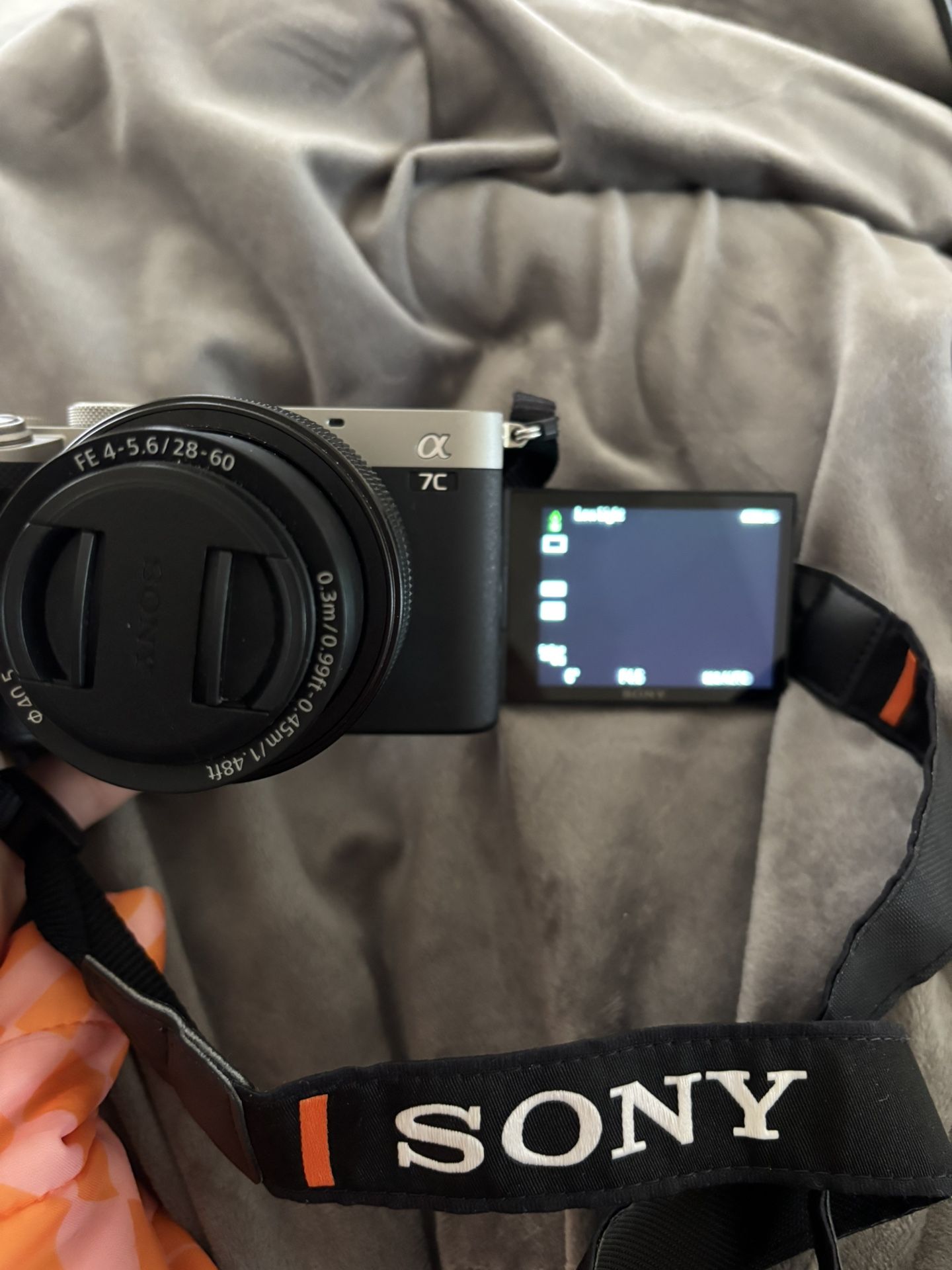Sony a7c silver
