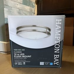 LED Ceiling Mount