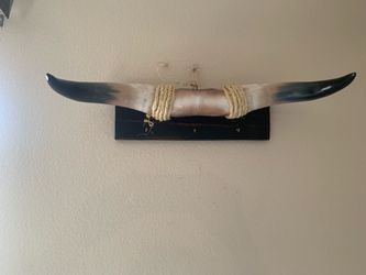 Bull Horns