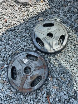 Pair of TSA 25 lb Olympic Weight Plates