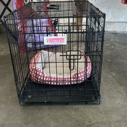 For Small Dogs