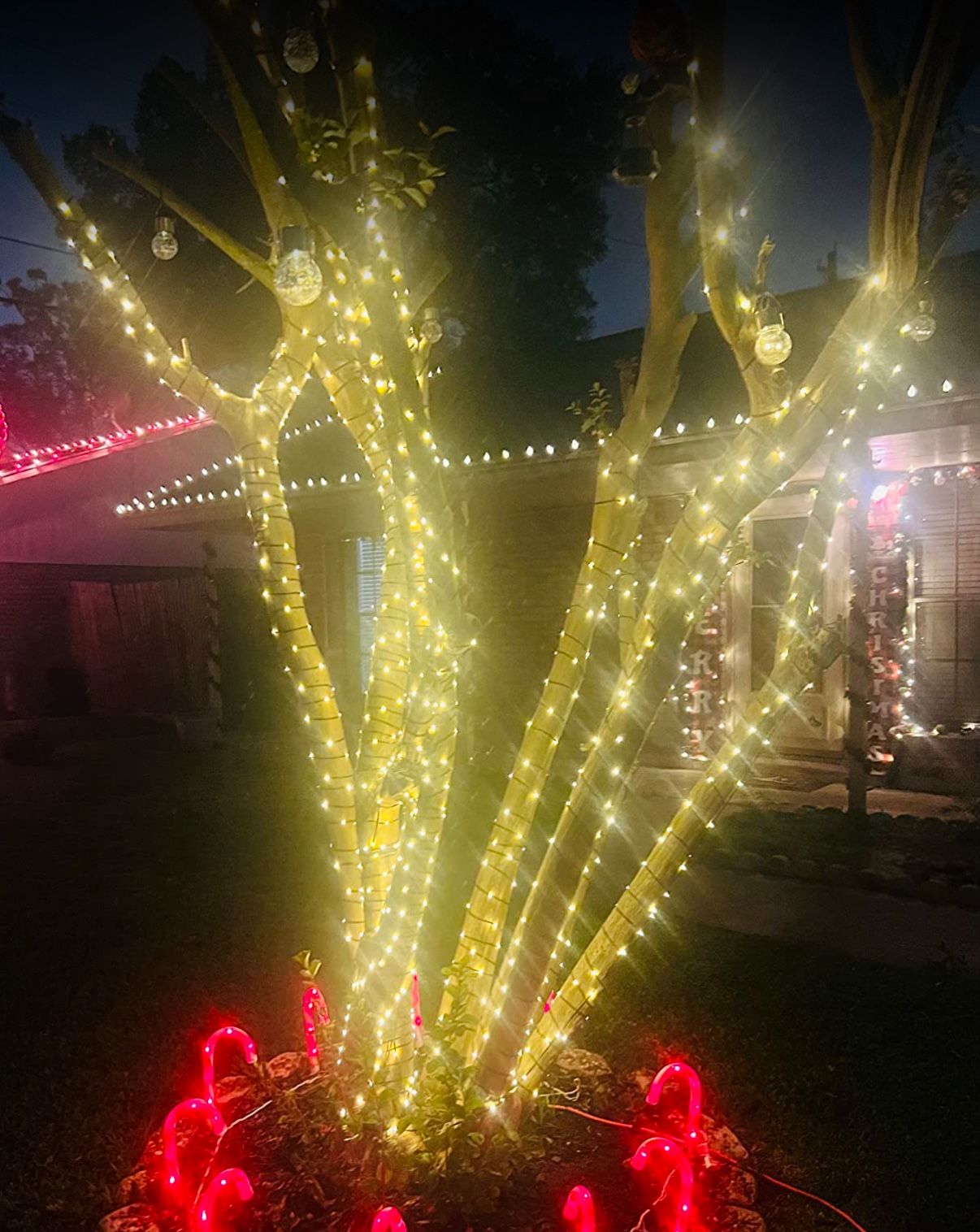 500 LED Christmas String Lights Connectable, Extra Long 70Ft  Outdoor String Lights End-to-end Plug in with Remote Timer for Garden Patio Tree Decor (