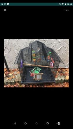 3 roof bird cage with lots extras