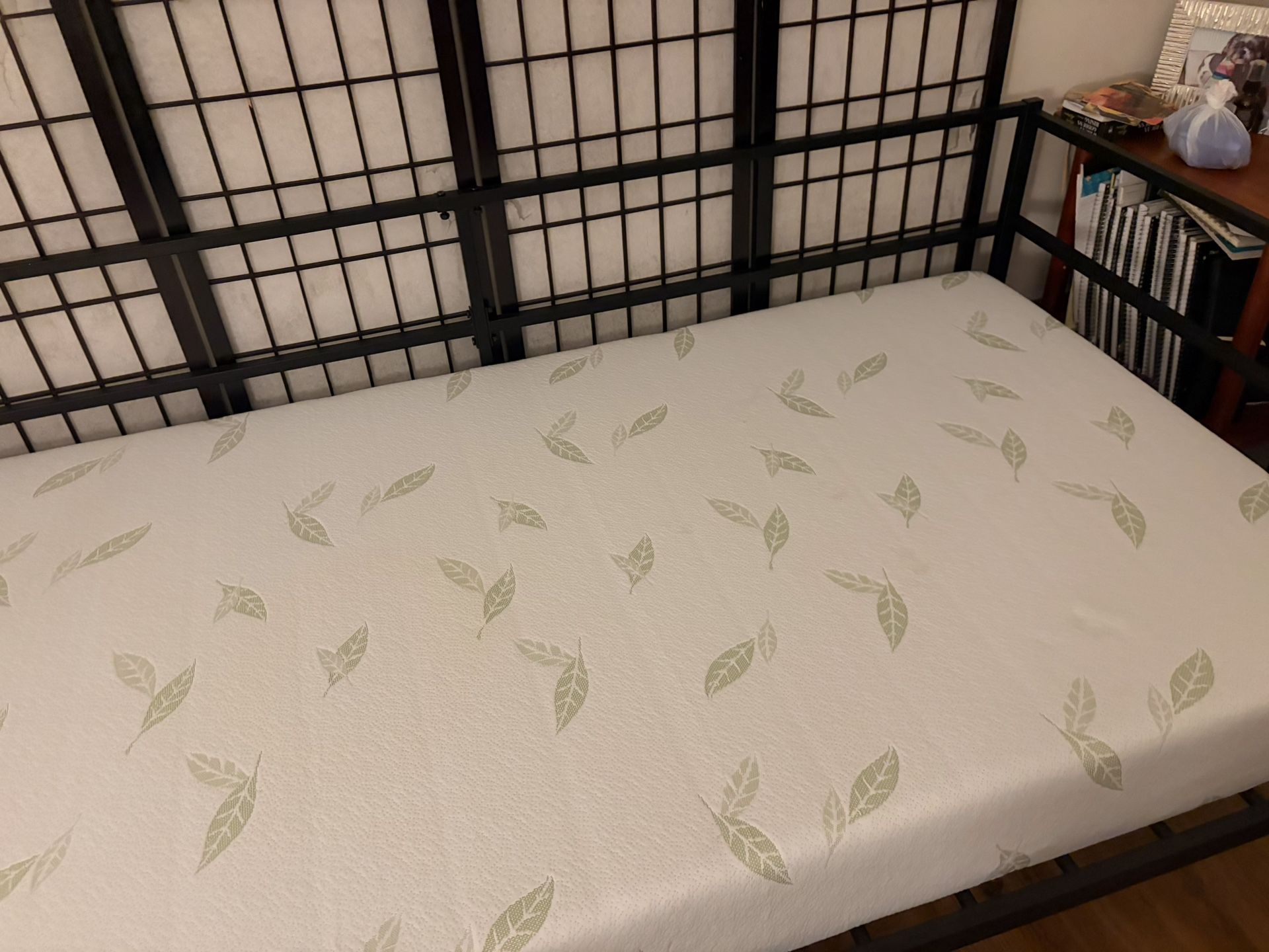 Trundle Bed $100