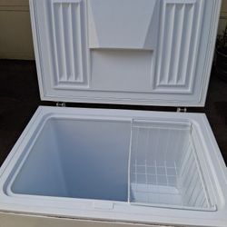 Kirkland Freezer