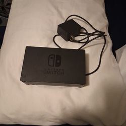 Switch Charger