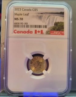 1/10 Troy Oz 2023 Canada Maple Leaf 9999 Fine Gold Coin Graded MS 70 BY NGC