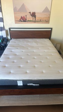 Full Mattress