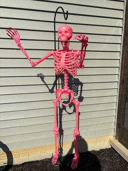5 FOOT Pink Life-Size Posable Skeleton