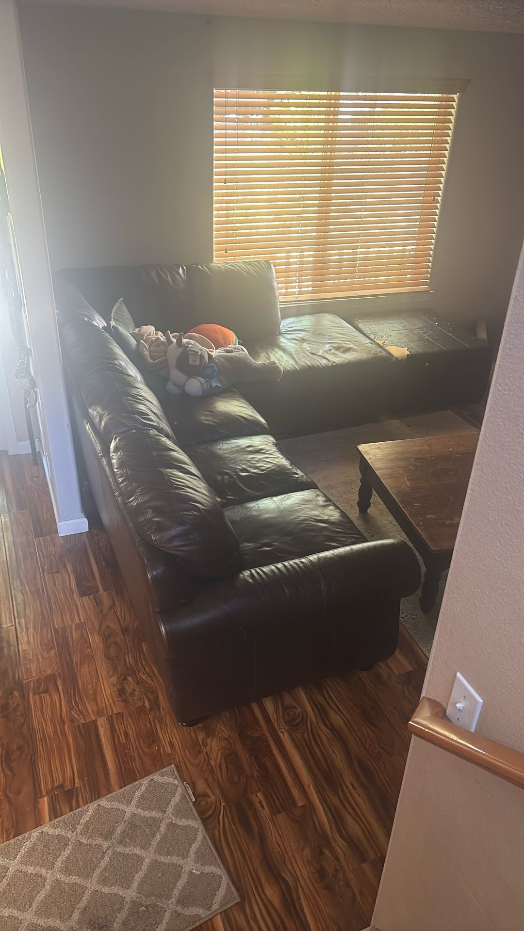 L Shaped Couch