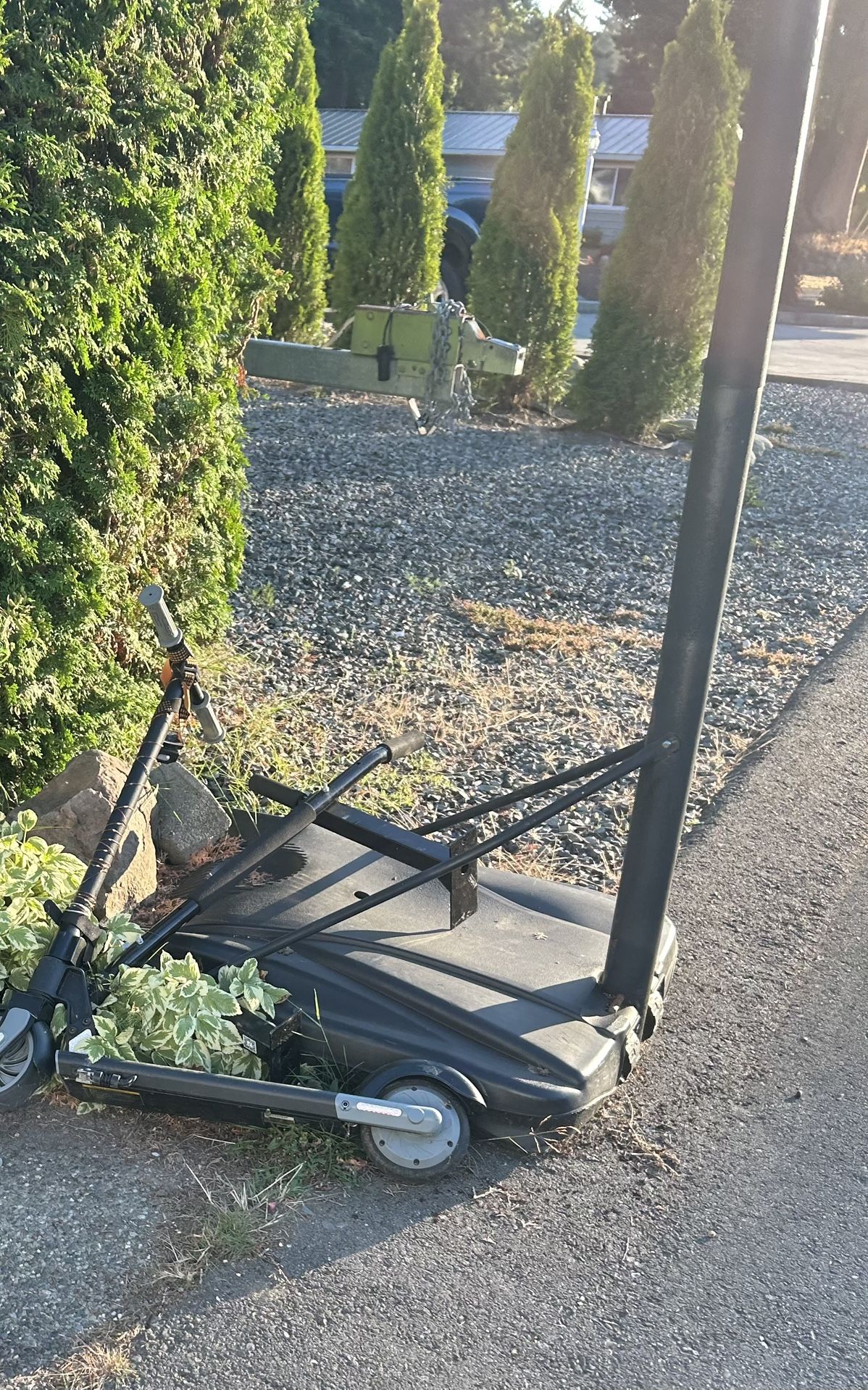 Free Scooter