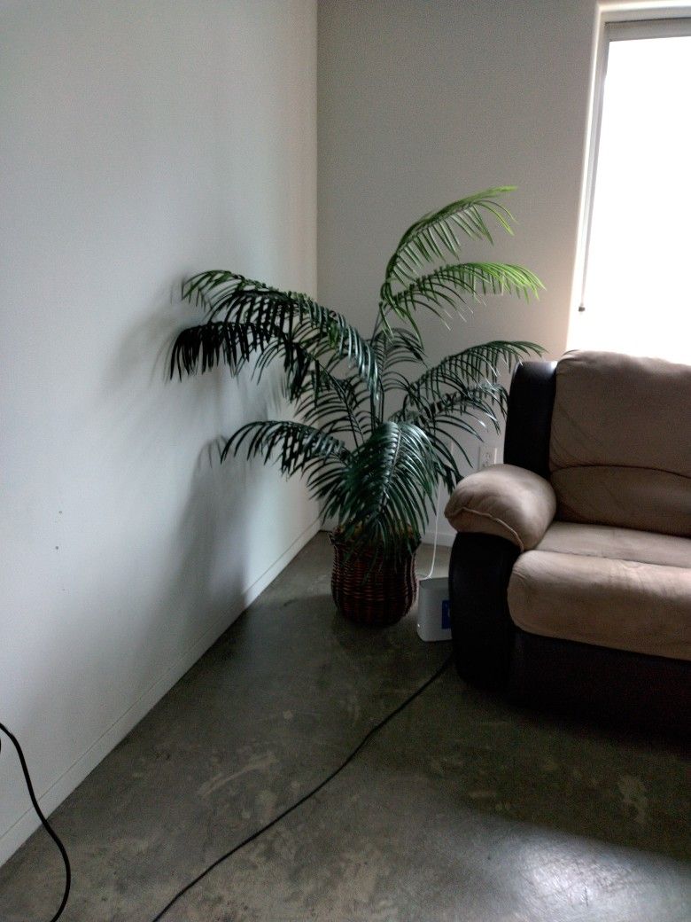 LARGE PALM TREE FAKE PLANT