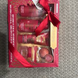 Iced Ruby Berries gift et retails 50.00