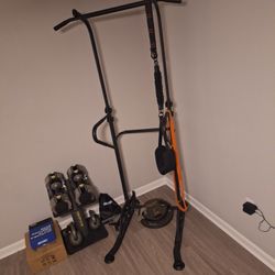 Pull Up/Dip Station