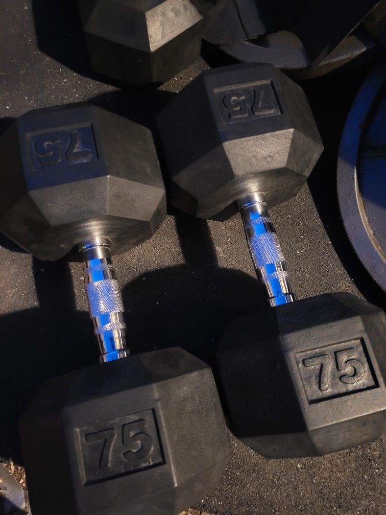 75lbs Dumbells Weights