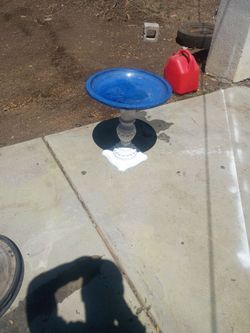 Bird bath