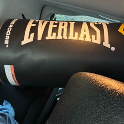 Everlast Punching Bag 