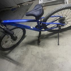 Mountain Bike Trek 5