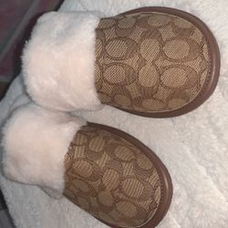 Coach Slippers