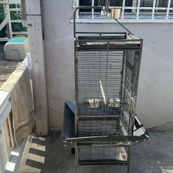 Birds Cage