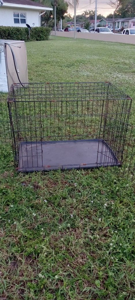 Dog Crates